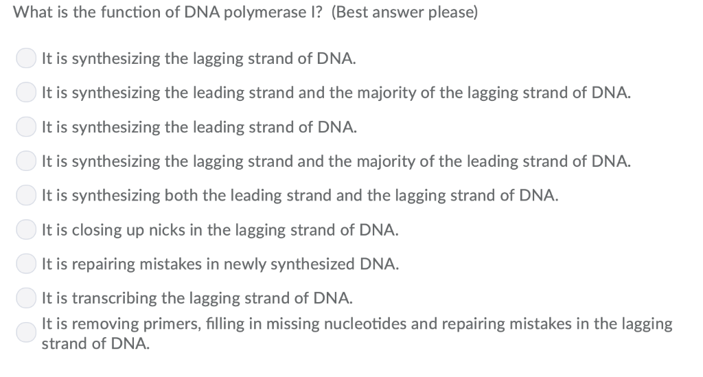 solved-what-is-the-function-of-dna-polymerase-1-best-chegg