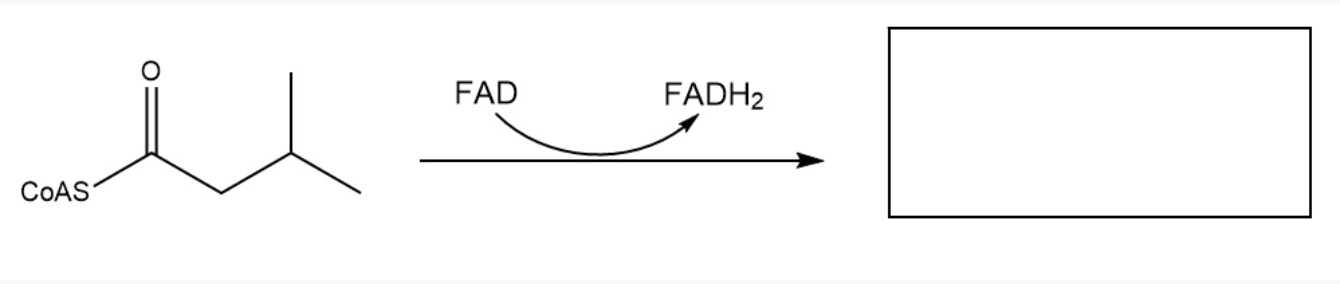 Solved FAD FADH2 COAS | Chegg.com