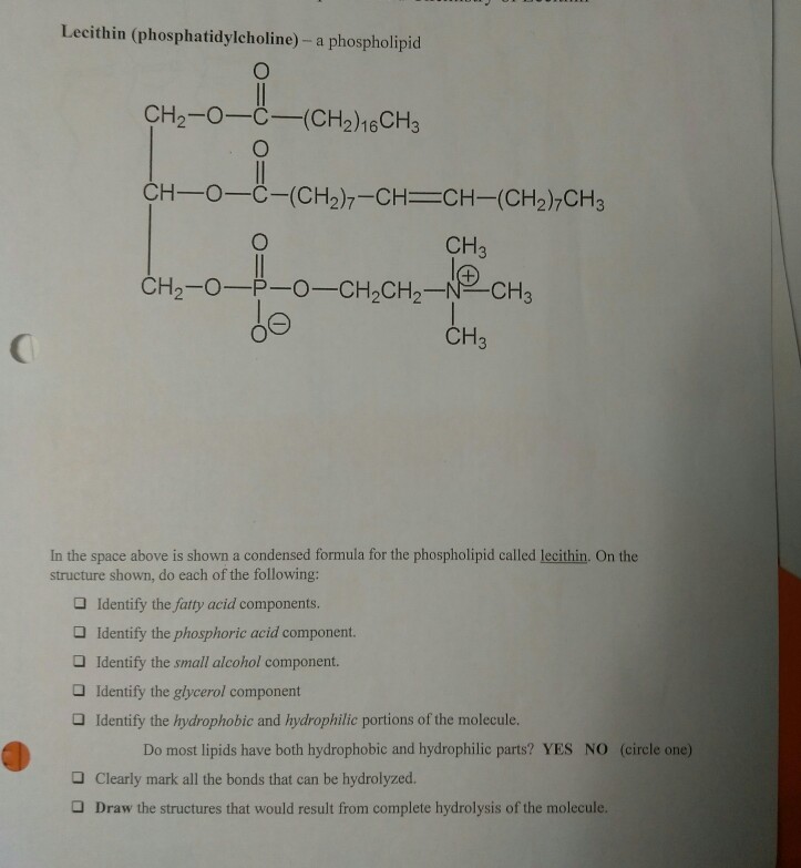 Solved Lecithin (phosphatidylcholine) a phospholipid