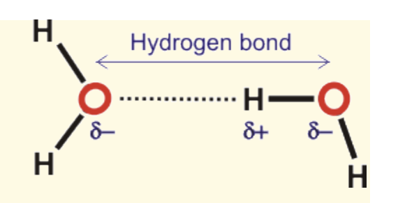 Solved Determine the degrees of freedom of this complex. | Chegg.com