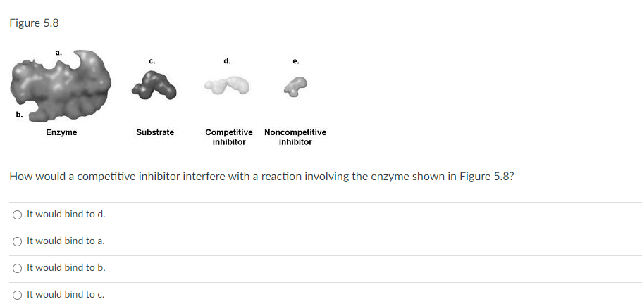 Solved Figure 5.8 c. d. d. e. b. Enzyme Substrate | Chegg.com