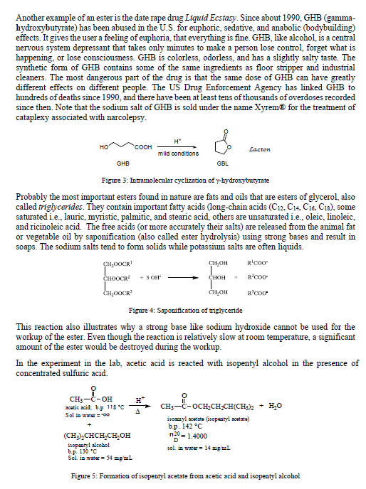 Solved Experiment 8: Fischer Esterification - Synthesis of | Chegg.com