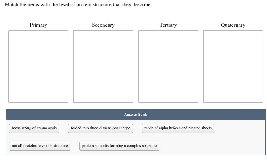 Solved Match the items with the level of protein structure | Chegg.com