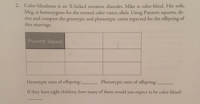 Color Blindness Punnett Square
