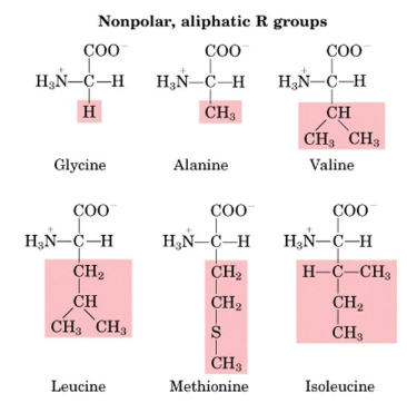 Глицин аланин метионин. Глицин аланин. Аланин метионин реакция. Non Polar Amino acids.