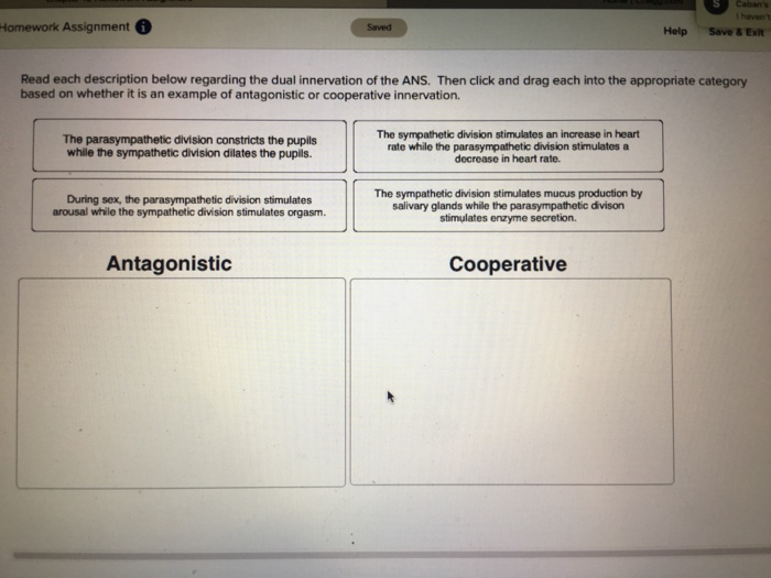 Solved Homework Assignment Saved Help Save&Exit Read each | Chegg.com