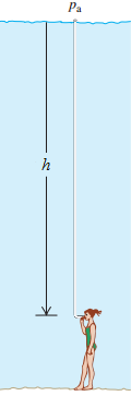 Solved There is a maximum depth at which a diver can breathe | Chegg.com