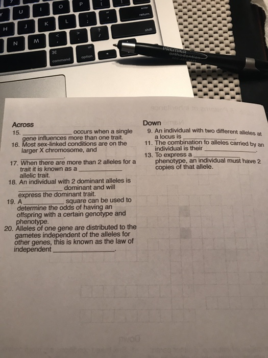 Solved Puzzle 15 Patterns of Inheritance Across In Mendelian | Chegg.com