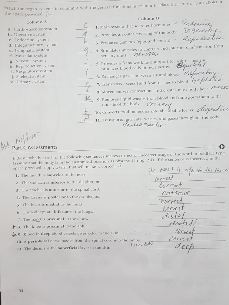 Solved in the organ systems in column A with the general | Chegg.com