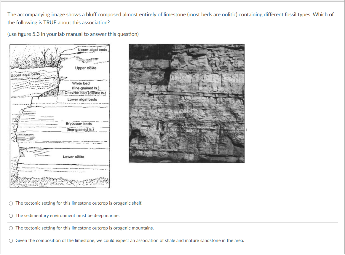 The accompanying image shows a bluff composed almost entirely of limestone (most beds are oolitic) containing different fossi