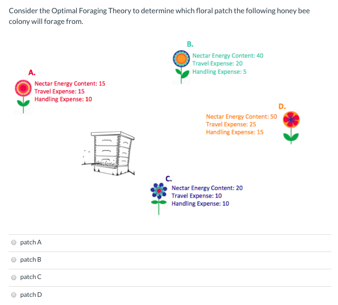 Solved Consider the Optimal Foraging Theory to determine | Chegg.com
