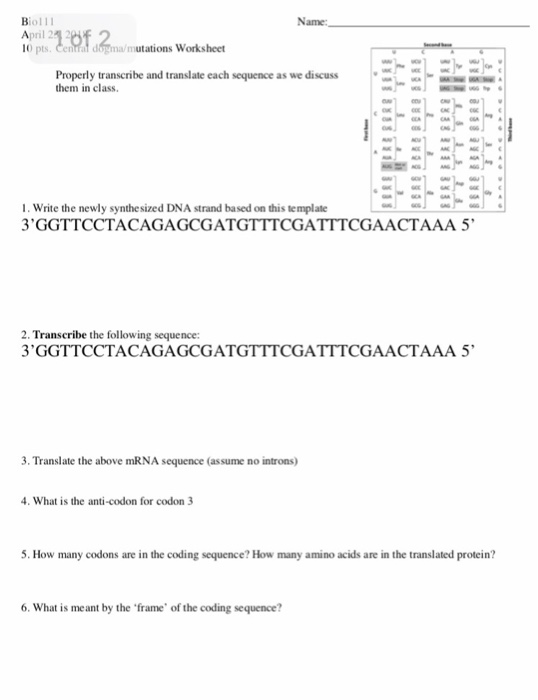 Solved The following sequences of DNA undergo various | Chegg.com