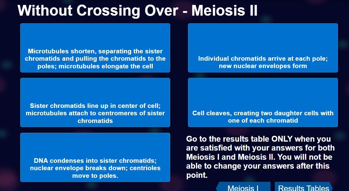 Solved I'm trying to match the phases of meiosis I and | Chegg.com