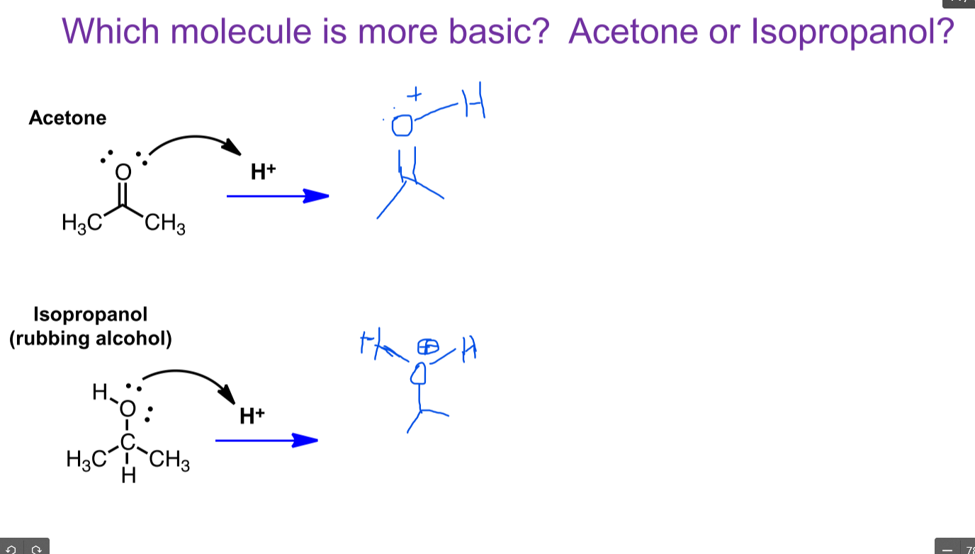 Solved Which molecule is more basic? Acetone or Isopropanol?
