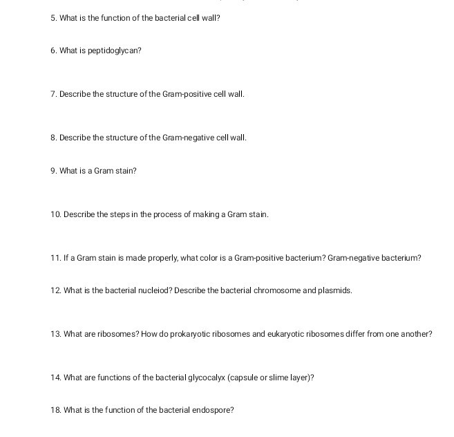 what is a function of cell wall