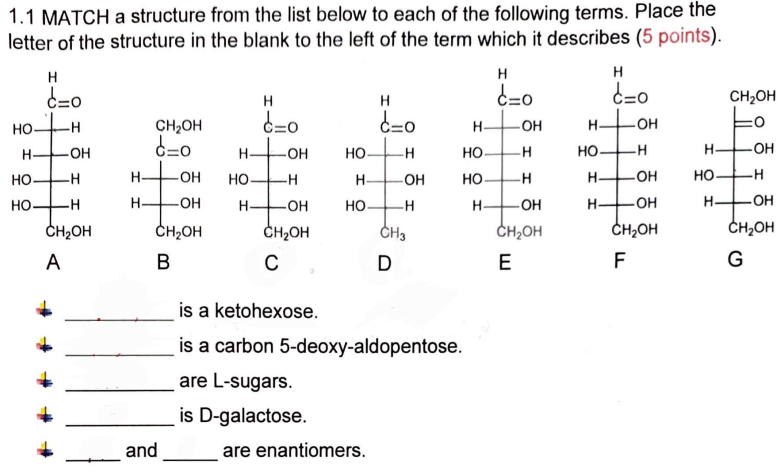 Solved 1.1 MATCH a structure from the list below to each of | Chegg.com