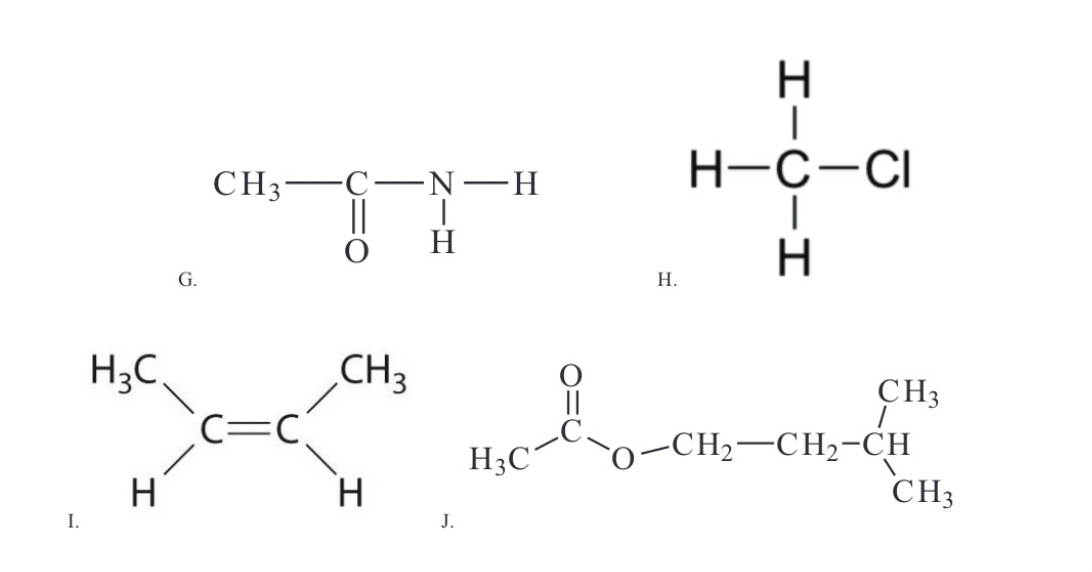 Solved Identify all the functional groups present in each of | Chegg.com