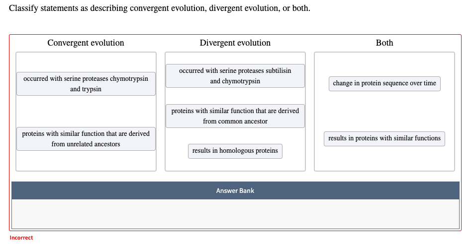 What Is Divergent Evolution?