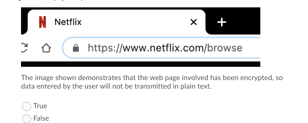 Solved N Netflix Х + https://www.netflix.com/browse The | Chegg.com