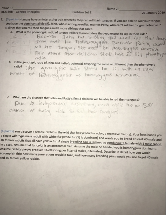 Solved Please help with the second questions on the first | Chegg.com