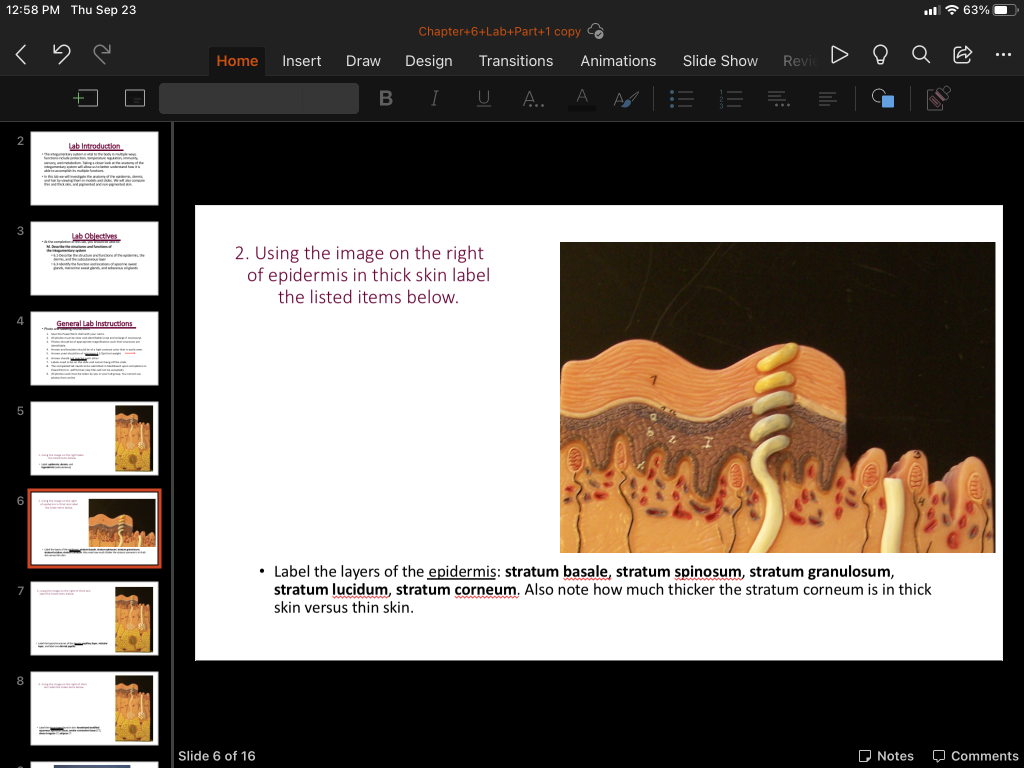 Solved 12:58 PM Thu Sep 23 .63% Chapter+6+Lab+Part+1 copy