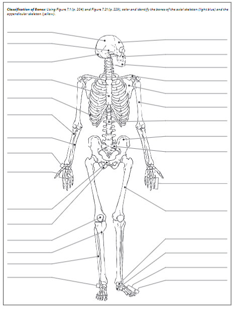 Solved Classification of Boner: Using Figure 7.11.204) and | Chegg.com