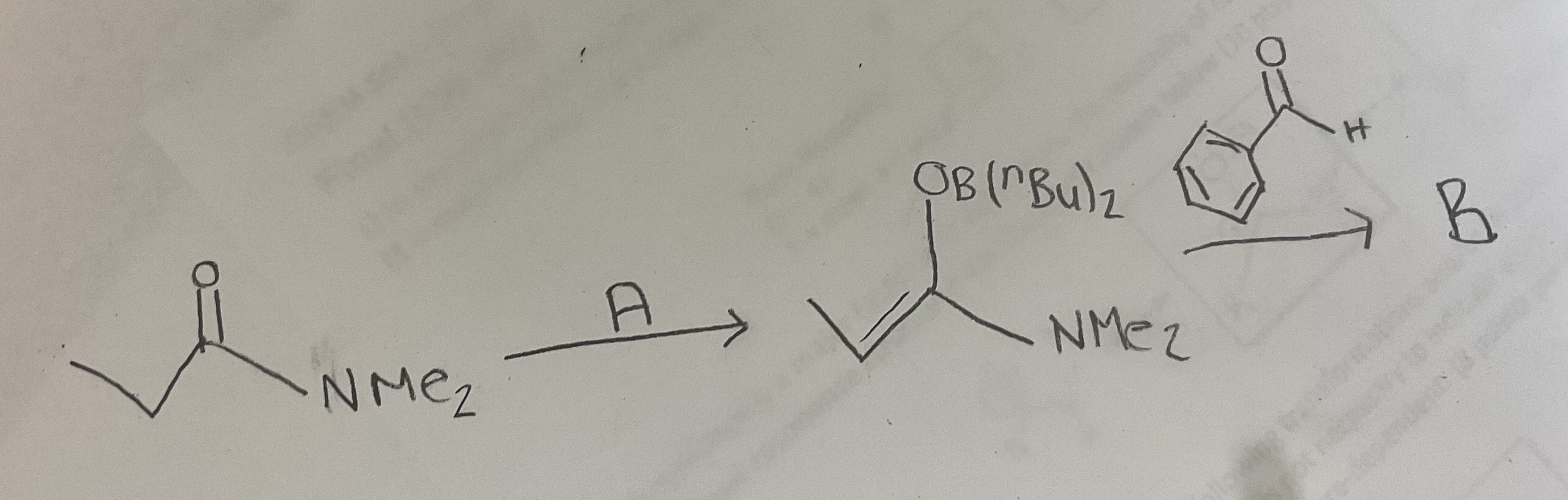 Solved What is A and B? | Chegg.com