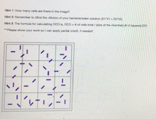Solved For the direct count exercise, you transfer 0.4 ml of | Chegg.com