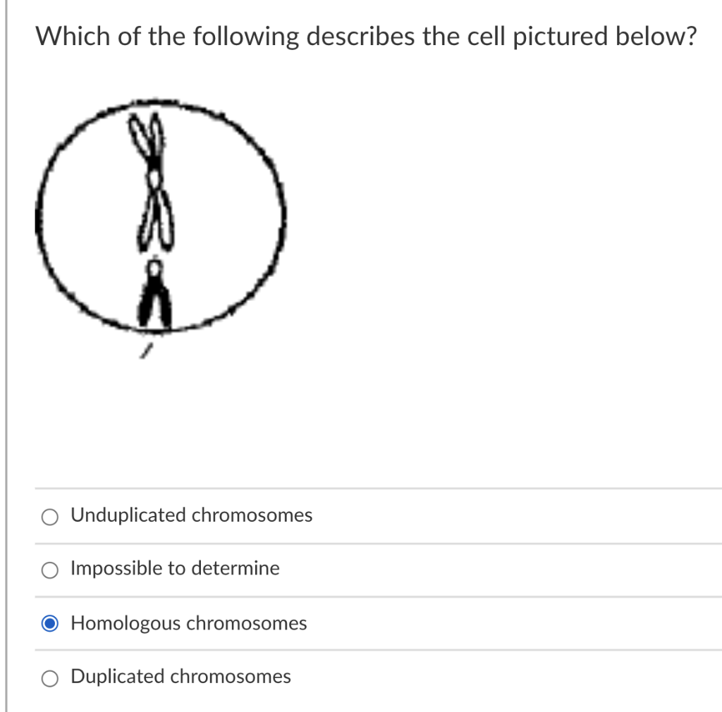 solved-1-what-is-the-haploid-number-of-a-cell-after-6-pairs-chegg