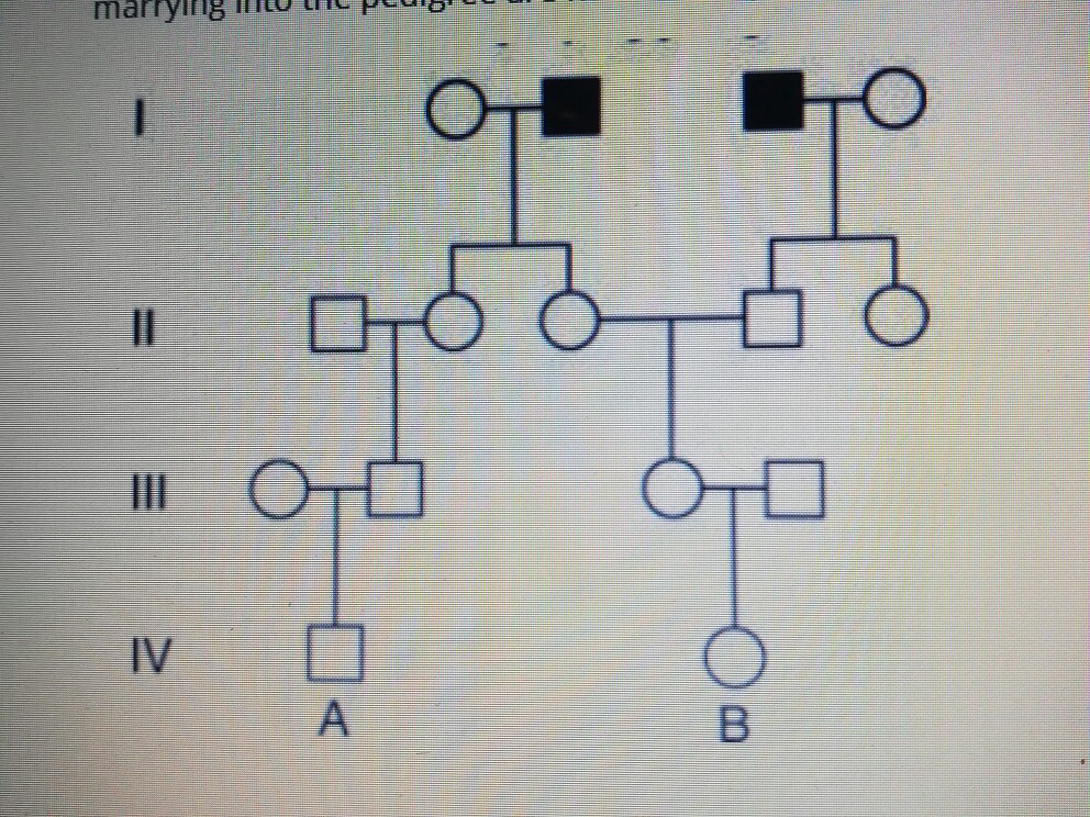 Solved Consider the accompanying pedigree of a rare | Chegg.com