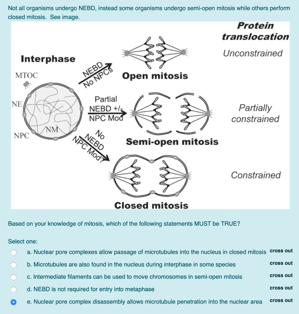 Solved Not all organisms undergo NEBD, instead some | Chegg.com