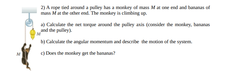 Solved 2) A rope tied around a pulley has a monkey of mass M | Chegg.com