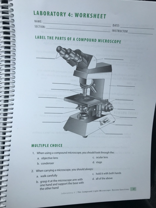 Microscope Parts And Use Worksheet Answers - Worksheet List
