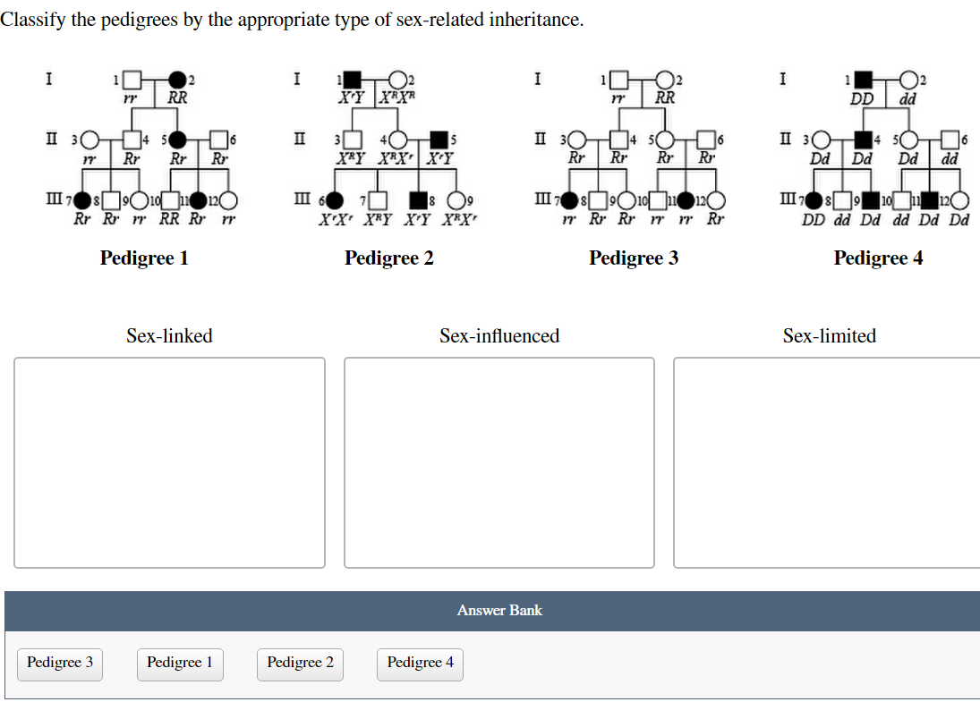 Solved Classify The Pedigrees By The Appropriate Type Of