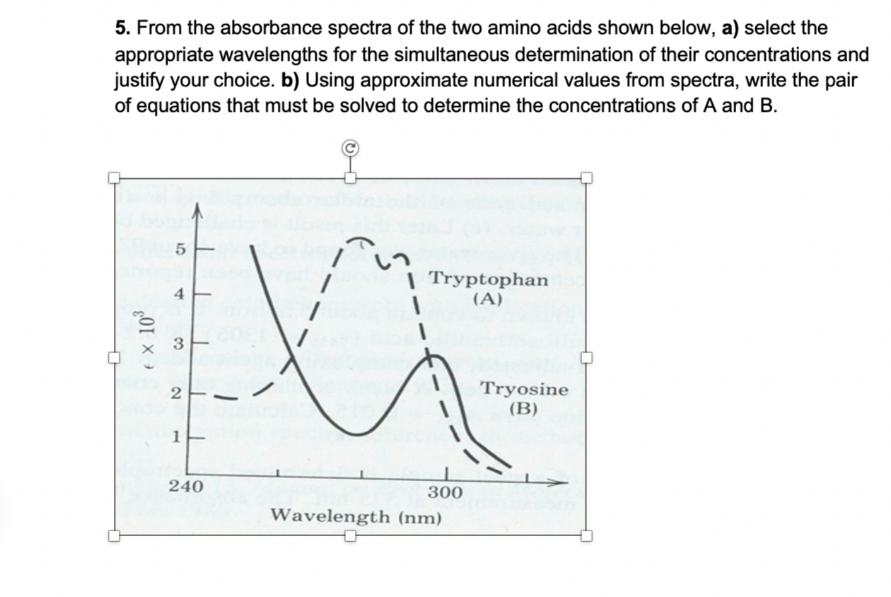 Solved 5. From the absorbance spectra of the two amino acids | Chegg.com