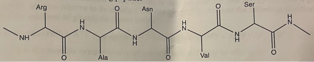 Solved Consider The Following Peptide.A. ﻿Is This Peptide In | Chegg ...