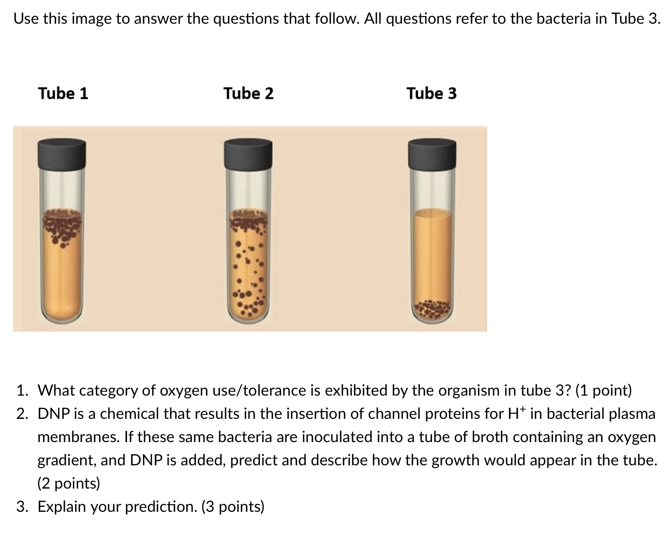 Use this image to answer the questions that follow. All questions refer to the bacteria in Tube 3.
1. What category of oxygen