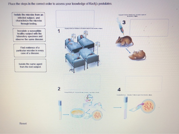 Solved Place the steps in the correct order to assess your | Chegg.com