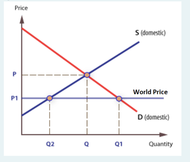 Solved The graph below represents a nation with a small open | Chegg.com