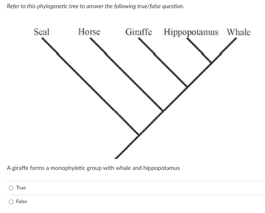 Solved Based On The Following Phylogeny, Which Letter | Chegg.com