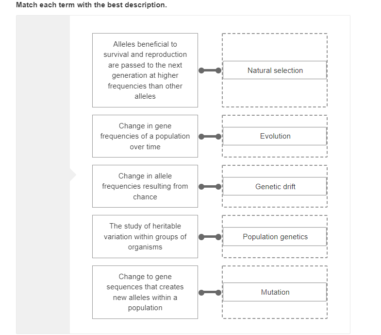 Solved Match each term with the best description. Alleles