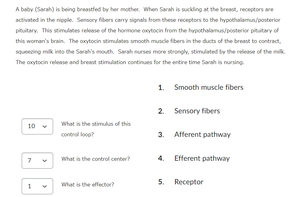 Anggun Tropika - Breastfeeding isn't always easy. As the body tries to  adjust to getting the right supply of breastmilk that baby needs, there are  times when there is oversupply or baby