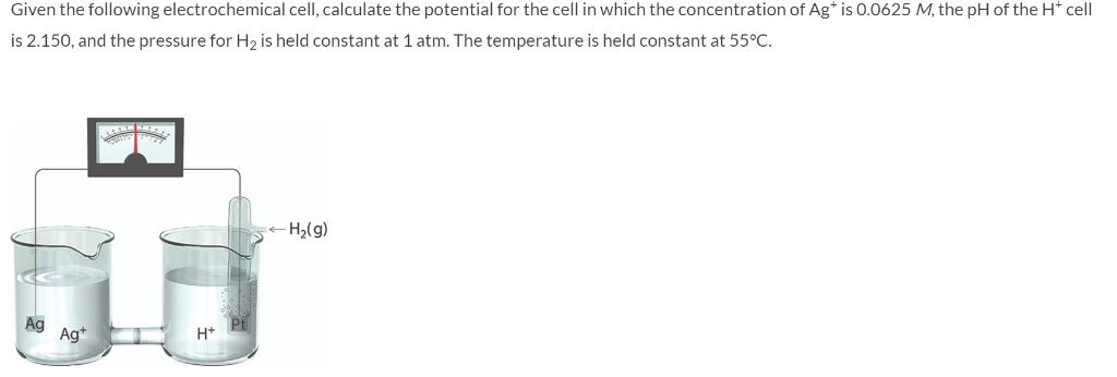 Consider The Following Electrochemical Cell