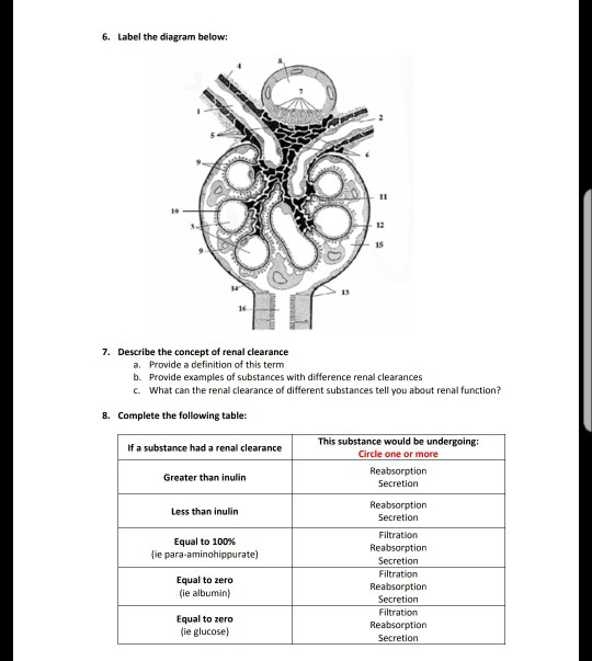 Solved 6. Label the diagram below: 13 1S 16 7. Describe the | Chegg.com