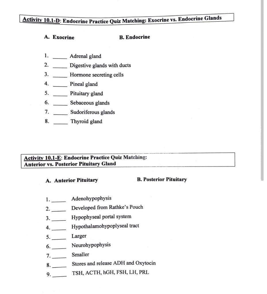 Solved Activity 10.1-D: Endocrine Practice Quiz Matching: | Chegg.com