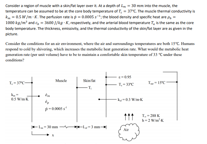 Solved Consider a region of muscle with a skin/fat layer | Chegg.com