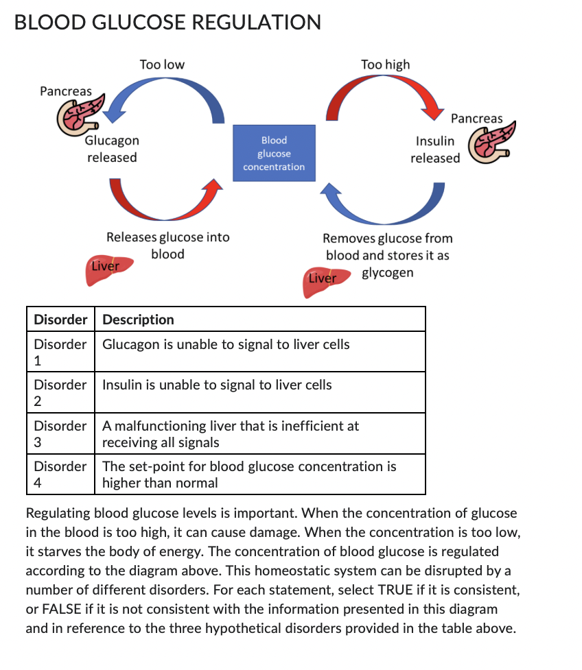 solved-blood-glucose-regulation-regulating-blood-glucose-chegg