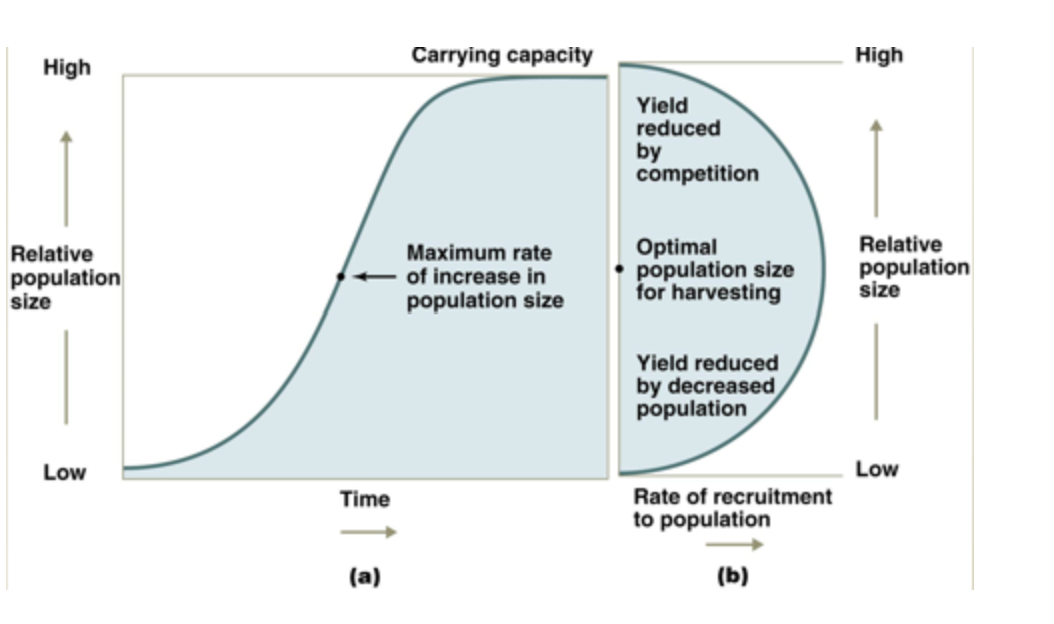 Solved What conclusion can be drawn from this figure of the