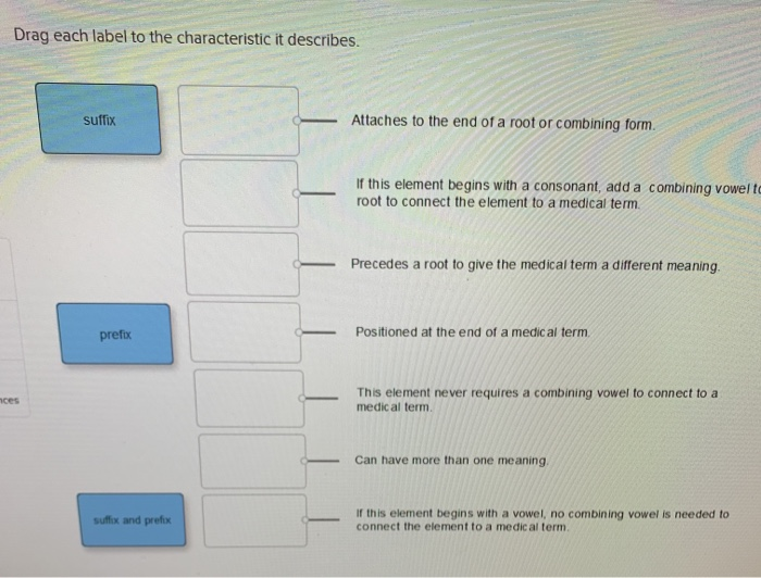 Solved Drag each label to the characteristic it describes.