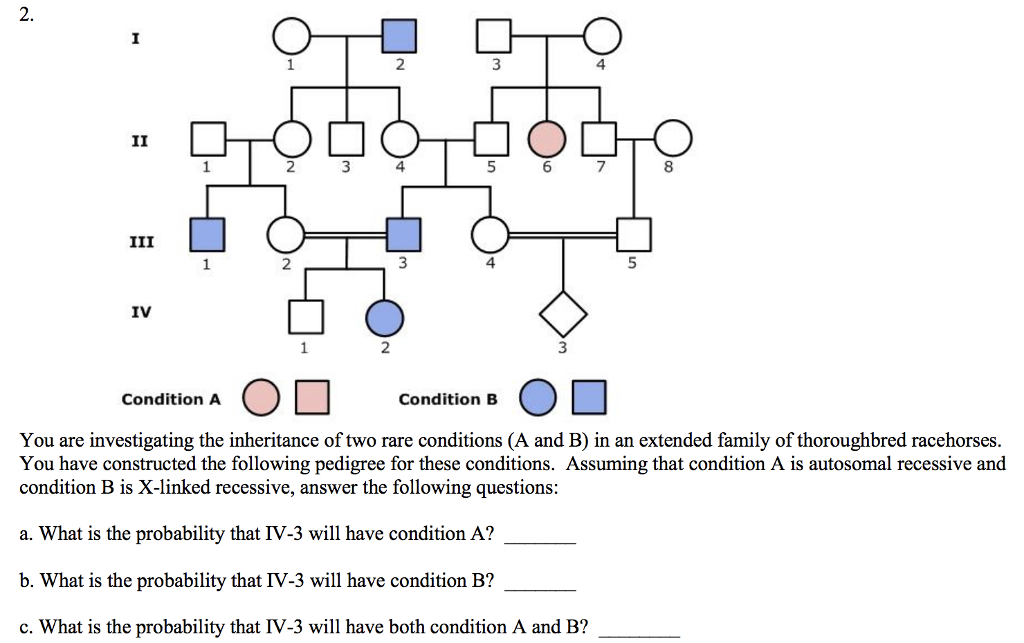 2. 2 4 2 2 4 IV 2 3 Condition B Aan0 Condition A | Chegg.com